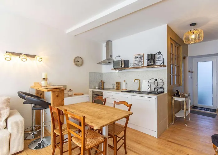 Daire T2 Renove Et Cosy Face Aux Thermes Avec Cour Privative Et Equipements Modernes - Fr-1-401-272 *